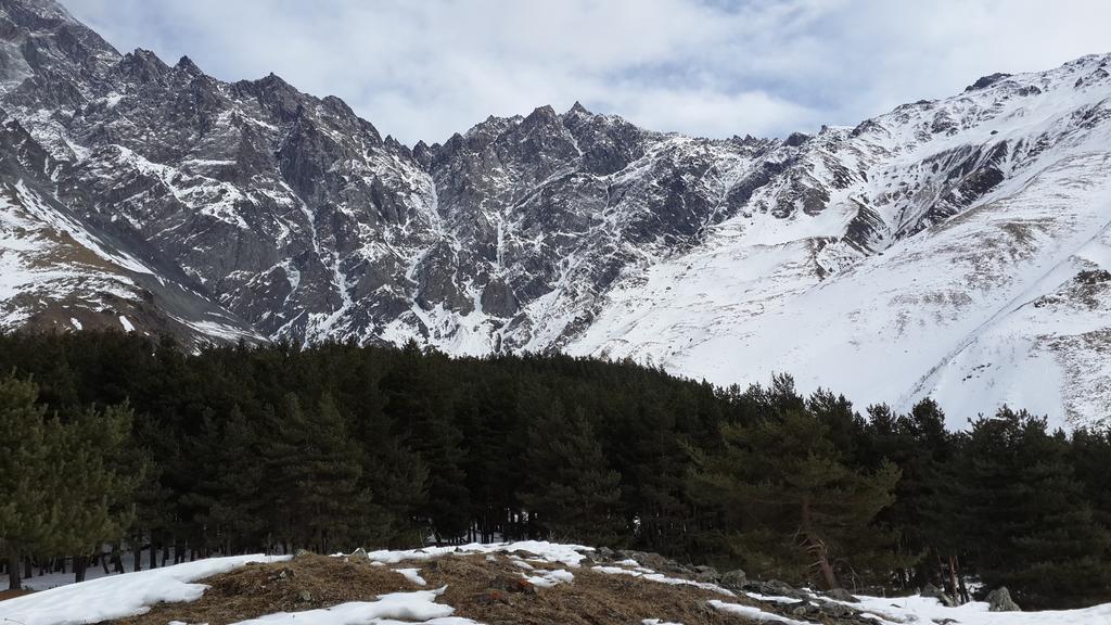 فندق Panorama Kazbegi المظهر الخارجي الصورة