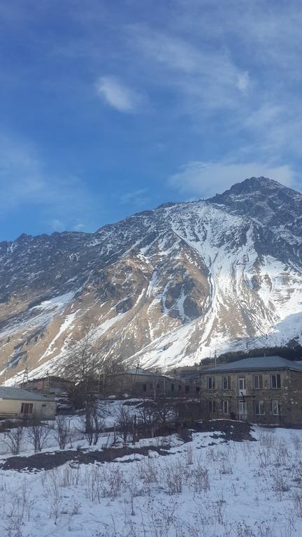 فندق Panorama Kazbegi المظهر الخارجي الصورة